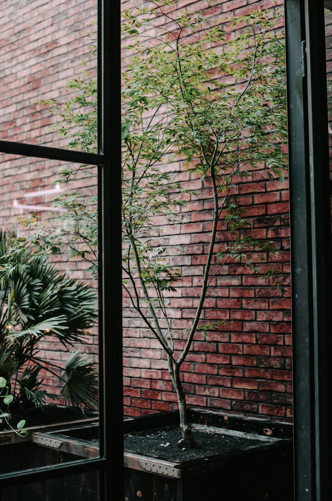 Contemporary Restaurant